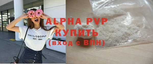 гашик Михайлов