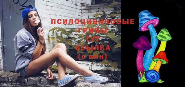 марки lsd Анжеро-Судженск