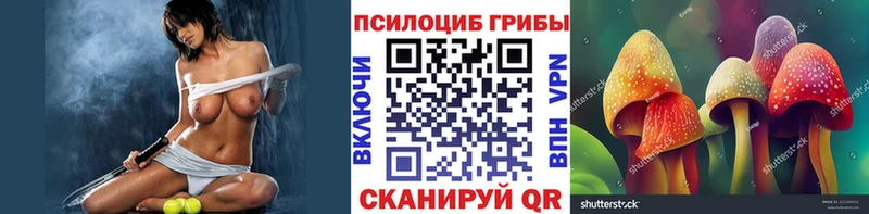 гидра ССЫЛКА Калач-на-Дону Галлюциногенные грибы прущие грибы