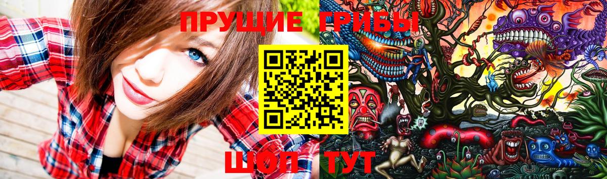 Псилоцибиновые грибы MAGIC MUSHROOMS  Калач-на-Дону  Галлюциногенные грибы GOLDEN TEACHER 