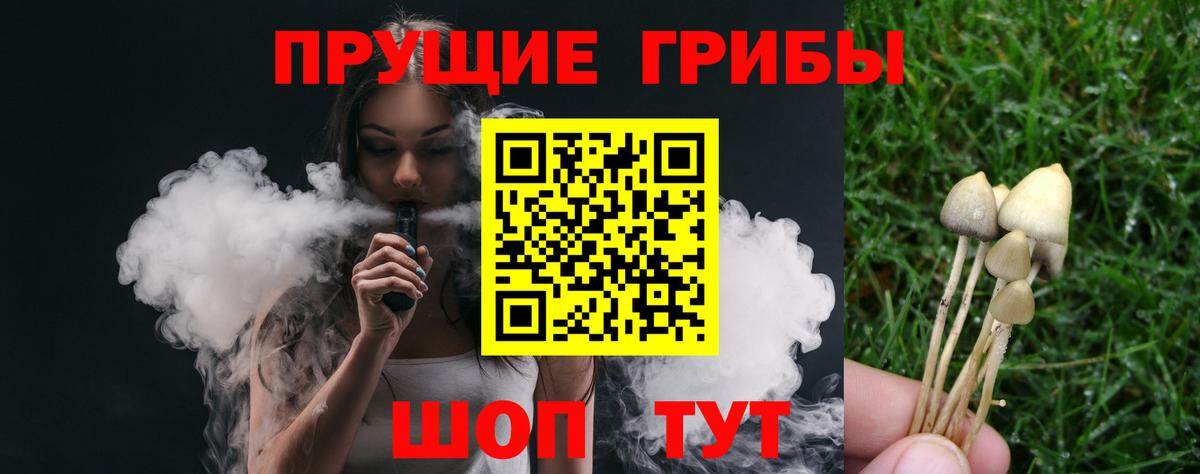 Калач-на-Дону  Галлюциногенные грибы ЛСД  Вход с VPN  Псилоцибиновые грибы Psilocybine cubensis 